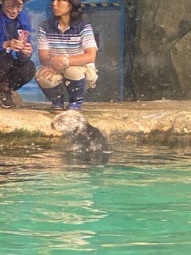 マリンワールド海の中道に投稿された画像（2023/10/8）