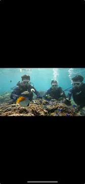 武藤潜水に投稿された画像（2023/10/8）