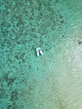 ちゃこたびに投稿された画像（2023/10/8）