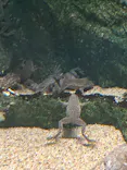 サンシャイン水族館に投稿された画像（2023/10/8）