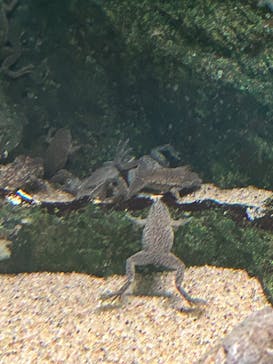 サンシャイン水族館に投稿された画像（2023/10/8）