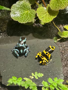 サンシャイン水族館に投稿された画像（2023/10/8）