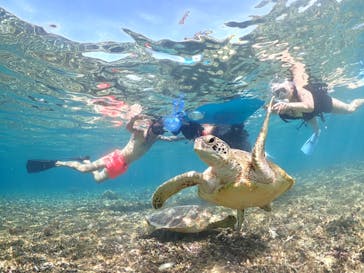 nico 宮古島に投稿された画像（2023/10/8）