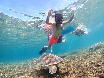 nico 宮古島に投稿された画像（2023/10/8）