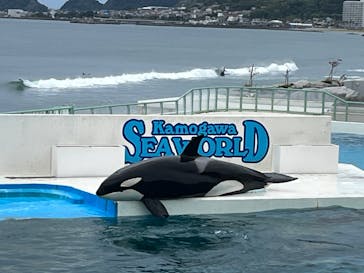 鴨川シーワールドに投稿された画像（2023/10/8）