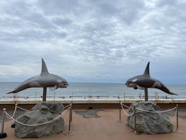 鴨川シーワールドに投稿された画像（2023/10/8）