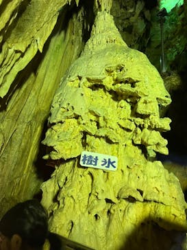 あぶくま洞に投稿された画像（2023/10/8）