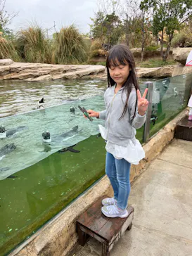 神戸どうぶつ王国に投稿された画像（2023/10/8）