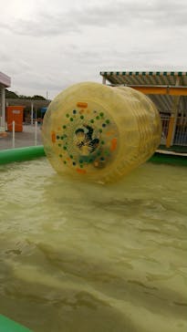 淡路ワールドパークONOKOROに投稿された画像（2023/10/8）