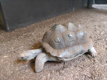 体感型動物園iZooに投稿された画像（2023/10/8）