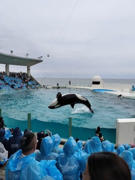 鴨川シーワールドに投稿された画像（2023/10/8）