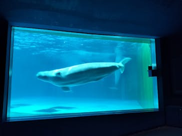 鴨川シーワールドに投稿された画像（2023/10/8）