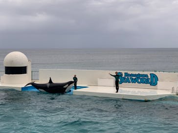 鴨川シーワールドに投稿された画像（2023/10/8）