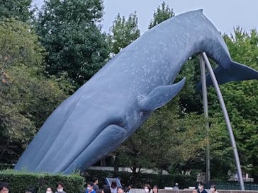 国立科学博物館に投稿された画像（2023/10/8）