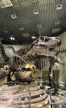 国立科学博物館に投稿された画像（2023/10/8）