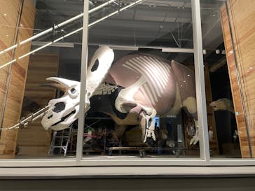 福井県立恐竜博物館に投稿された画像（2023/10/8）