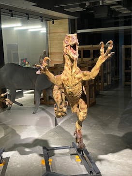 福井県立恐竜博物館に投稿された画像（2023/10/8）