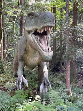 福井県立恐竜博物館に投稿された画像（2023/10/8）