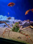 名古屋港水族館に投稿された画像（2023/10/8）