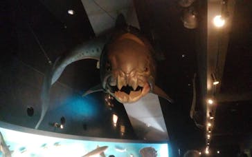 環境水族館アクアマリンふくしまに投稿された画像（2023/10/8）