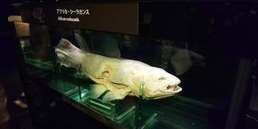 環境水族館アクアマリンふくしまに投稿された画像（2023/10/8）