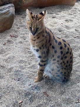 那須どうぶつ王国に投稿された画像（2023/10/8）