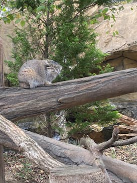 那須どうぶつ王国に投稿された画像（2023/10/8）