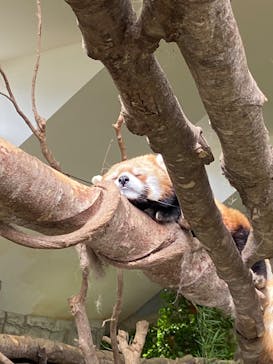 那須どうぶつ王国に投稿された画像（2023/10/8）