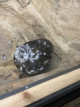 那須どうぶつ王国に投稿された画像（2023/10/8）