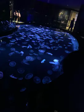 すみだ水族館に投稿された画像（2023/10/8）