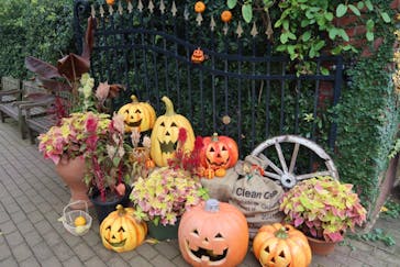 横浜イングリッシュガーデンに投稿された画像（2023/10/8）