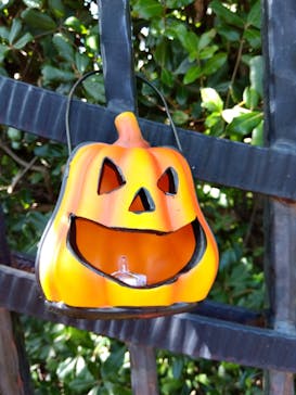 横浜イングリッシュガーデンに投稿された画像（2023/10/8）