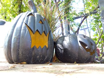 横浜イングリッシュガーデンに投稿された画像（2023/10/8）