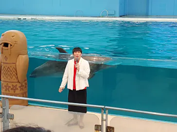 横浜・八景島シーパラダイスに投稿された画像（2023/10/8）