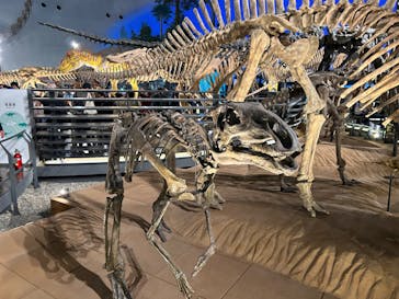 福井県立恐竜博物館に投稿された画像（2023/10/8）