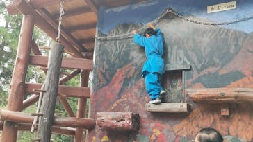 忍者の里　チビッ子忍者村に投稿された画像（2023/10/8）