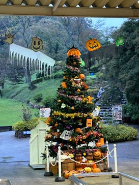 日本モンキーパークに投稿された画像（2023/10/8）