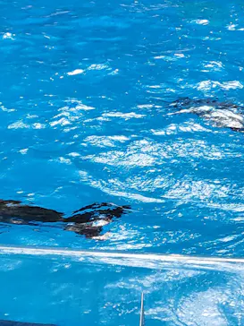 マクセル アクアパーク品川に投稿された画像（2023/10/8）