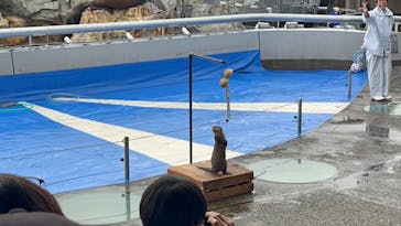 大分マリーンパレス水族館 「うみたまご」に投稿された画像（2023/10/8）