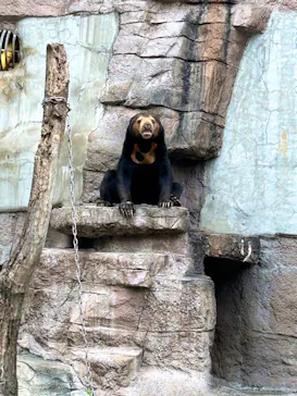 天王寺動物園に投稿された画像（2023/10/8）