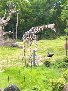 天王寺動物園に投稿された画像（2023/10/8）