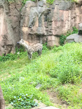 天王寺動物園に投稿された画像（2023/10/8）