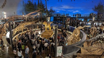 福井県立恐竜博物館に投稿された画像（2023/10/8）