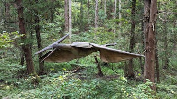 福井県立恐竜博物館に投稿された画像（2023/10/8）