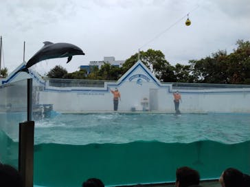 しながわ水族館に投稿された画像（2023/10/8）