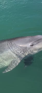 下田海中水族館に投稿された画像（2023/10/8）