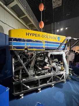 特別展「海　―生命のみなもと―」（国立科学博物館）に投稿された画像（2023/10/8）