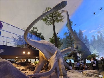 福井県立恐竜博物館に投稿された画像（2023/10/8）