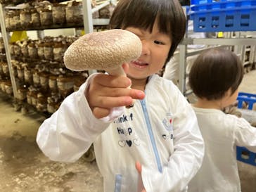 サンコウファームに投稿された画像（2023/10/8）