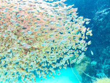環境水族館アクアマリンふくしまに投稿された画像（2023/10/8）